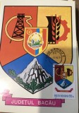 CPIF Stema cu timbru al judetului Bacau