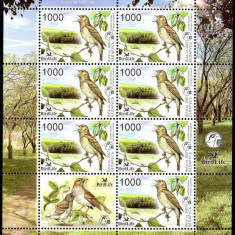 BELARUS 2007, Fauna, Pasari, serie neuzata, MNH