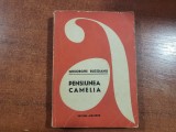 Pensiunea Camelia de Gheorghe Buzoianu