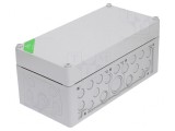 Carcasă de Conexiuni IP65 Gri 150x300x132mm