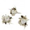 Set 3 Cocarde cu miniroze si flori naturale uscate alb-auriu