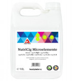Ingrasamant Nutricig Microelemente 10 l