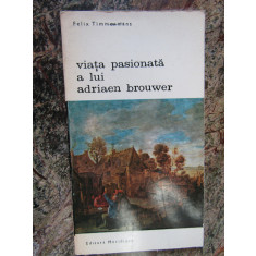 Viata pasionata a lui Adriaen Brouwer - Felix Timmermans