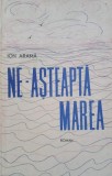 Carte Ne-asteapta marea - Ion Arama