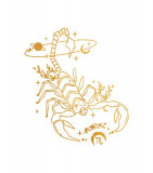 Cumpara ieftin Sticker decorativ Zodiac, Auriu, 62 cm, 5470ST, Oem