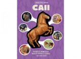 Cumpara ieftin Inside out, Caii 3D