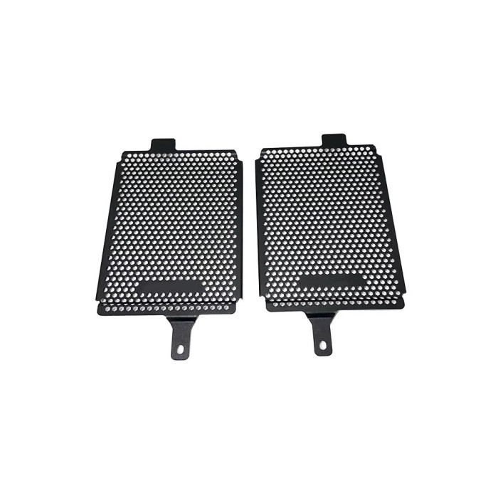 Capac Grila Protectie Radiator BMW GS1200 GS R1250 LC ADVENTURE 2013 2019 A1049