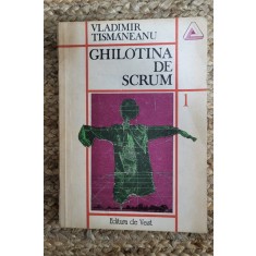 Ghilotina de scrum, vol. 1 &ndash; Vladimir Tismaneanu