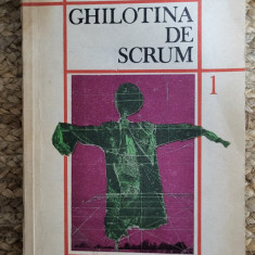 Ghilotina de scrum, vol. 1 – Vladimir Tismaneanu