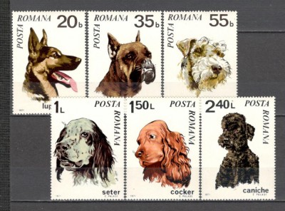 Romania.1971 Caini ZR.397 foto