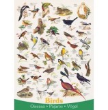 Cumpara ieftin Puzzle Eurographics - Birds, 1000 piese