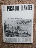 PEISAJUL OLANDEZ - DORANA COSOVEANU