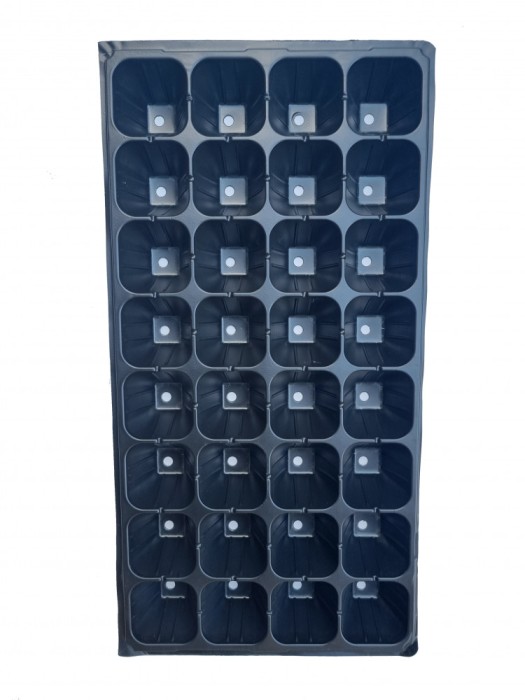 Tava alveolara rasaduri 32 celule