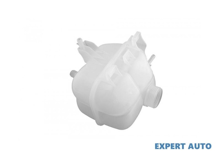 Vas expansiune BMW X6 (2008->) [E71, E72] #1