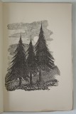 LANGA HOTAR , VERSURI , text de IUSTIN ILIESIU , desene de S. BOGDAN si T. GOGA , 1940 *DEDICATIE