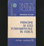 Cumpara ieftin PRINCIPII ȘI LEGI FUNDAMENTALE &Icirc;N FIZICĂ - GHEORGHE HUȚANU - SINTEZE LYCEUM