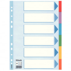 Separatoare cu Index din Carton Esselte Standard, A4, 6 Coli/Set, Taste Laminate, Multicolor, Separator Index, Separatoare Carton Index, Separatoare E