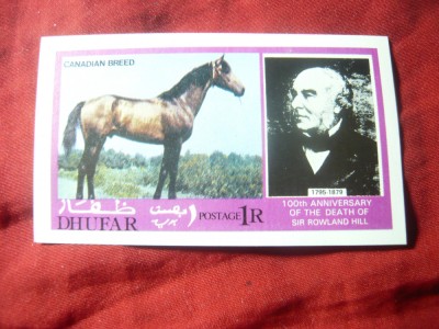 Colita Dhufar 1975 - Cal- Rowland Hill foto