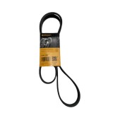 Curea transmisie cu caneluri CONTINENTAL CTAM 6PK1555-CT