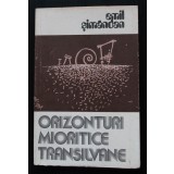 Emil Șimăndan - Orizonturi mioritice transilvane
