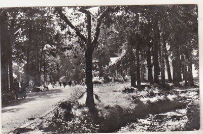 bnk cp Baile Moneasa - Vedere din parc - uzata foto