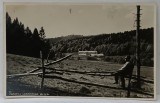 PREDEAL , SANATORIUL BUCEGI , CARTE POSTALA ILUSTRATA , 1940