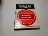 TOPOLOGIE ALGEBRICA--R MIRON--RF20/0