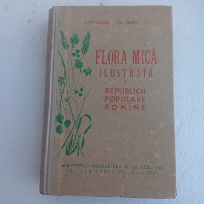 I.PRODAN-FLORA MICA A R.P.R.-1958 R4. foto