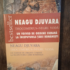 THOCOMERIUS NEGRU VODA- NEAGU DJUVARA