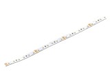 Bandă LED Alb Rece 2216 120 LED/m 8mm PCB Alb IP20 120&deg; KGP ELECTRONICS