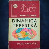 Cumpara ieftin DINAMICA TERESTRA - NESTOR LUPEI