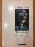 Chipuri si masti ale tranzitiei, Andrei Plesu