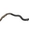 Furtun de lichid de răcire FORD TRANSIT Furgon 2020 | 23485507