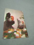 Cumpara ieftin CARTE POSTALA --FELICITARE PASTI NECIRCULATA