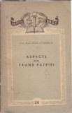 Aspecte din fauna patriei - Raul Calinescu, editie 1957