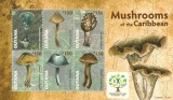 Guyana 2011 - Flora , Ciuperci , Bloc 6 valori , dantelat , MNH , Mi.8222-8227-Kb