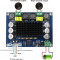 Modul audio amplificator audio clasa D transport gratuit