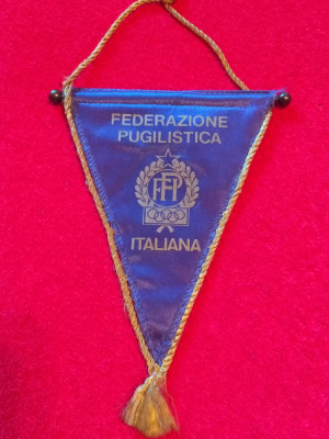 Fanion - Federatia de BOX din ITALIA foto