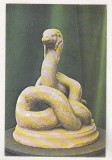 bnk cp Constanta - Muzeul de arheologie - Sarpele Glykon - circulata