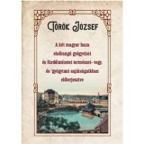 A k&eacute;t magyar haza elsőrang&uacute; gy&oacute;gyvizei &eacute;s f&uuml;rdőint&eacute;zetei term&eacute;szet- vegy, &eacute;s gy&oacute;gytani saj&aacute;ts&aacute;gaikban előterjesztve - T&ouml;r&ouml;k J&oacute;zsef