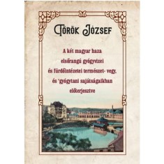 A k&eacute;t magyar haza elsőrang&uacute; gy&oacute;gyvizei &eacute;s f&uuml;rdőint&eacute;zetei term&eacute;szet- vegy, &eacute;s gy&oacute;gytani saj&aacute;ts&aacute;gaikban előterjesztve - T&ouml;r&ouml;k J&oacute;zsef
