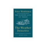 The Weather Detective: Rediscovering Nature's Secret Signs
