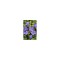 Vinca minor Dart&#039;s Blue - Ghiveci 15cm