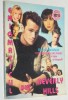 Enigmaticul din Beverly Hills Luke Perry