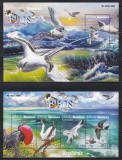 Maldive 2015 - Păsări din Oceanul Indian, Bloc + Colita, MNH (vezi descrierea), Nestampilat