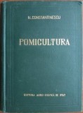 RARA, 1957, POMICULTURA, N. Constantinescu, 770 pagini, cartonata, livrare imediata curier rapid gratuit