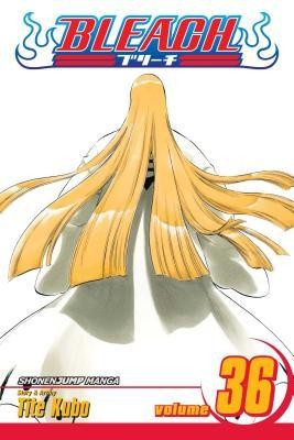 Bleach, Volume 36 foto