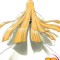Bleach, Volume 36