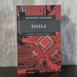 Antonio Damasio - Sinele