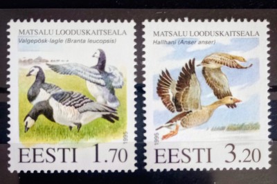 Estonia 1995 păsări g&amp;acirc;ște serie 2v neștampilată foto